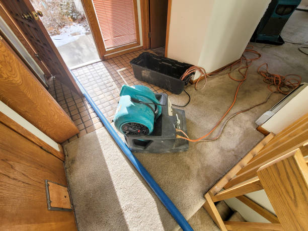 Best Water damage restoration near me  in Twin Lakes, NM