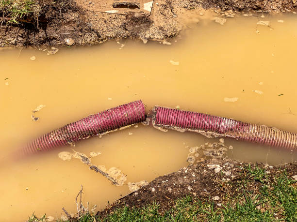 Best Professional water damage repair  in Twin Lakes, NM